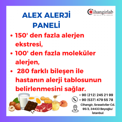alex-alerji-testi-481