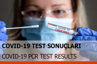 COVID-19 PCR TEST RESULTS*